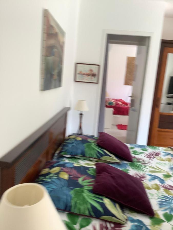 Chambres De La Terre Blanche 滨海萨纳里 外观 照片